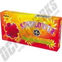 Sunflower Planes 12pk